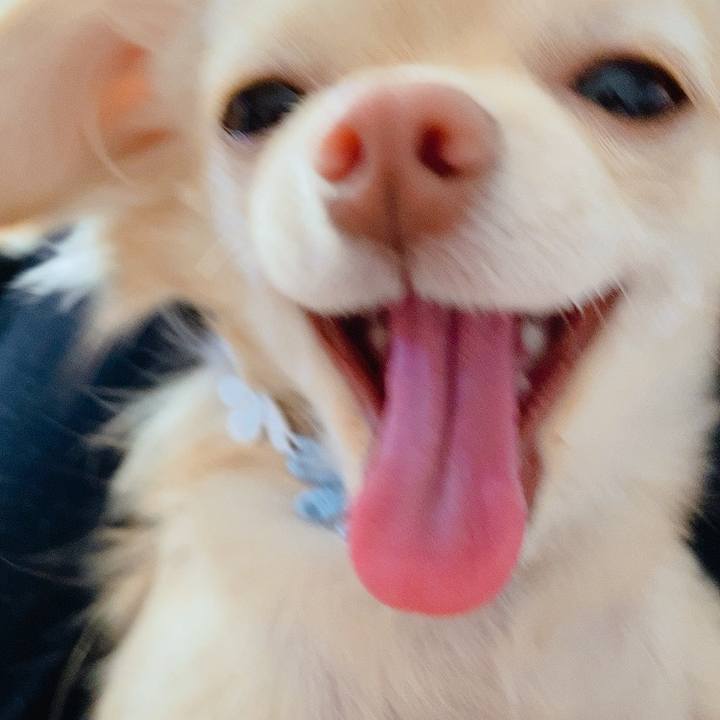 5624a510 9e4d 4401 bdf8 14e73099639d 1613774640287