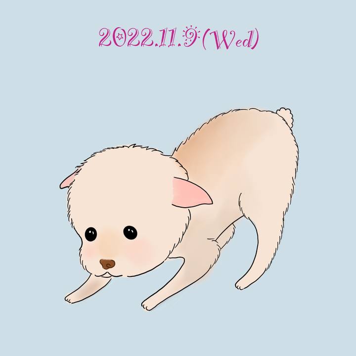 5624b992 130c 4a71 9030 6020836c1131 1667999295828