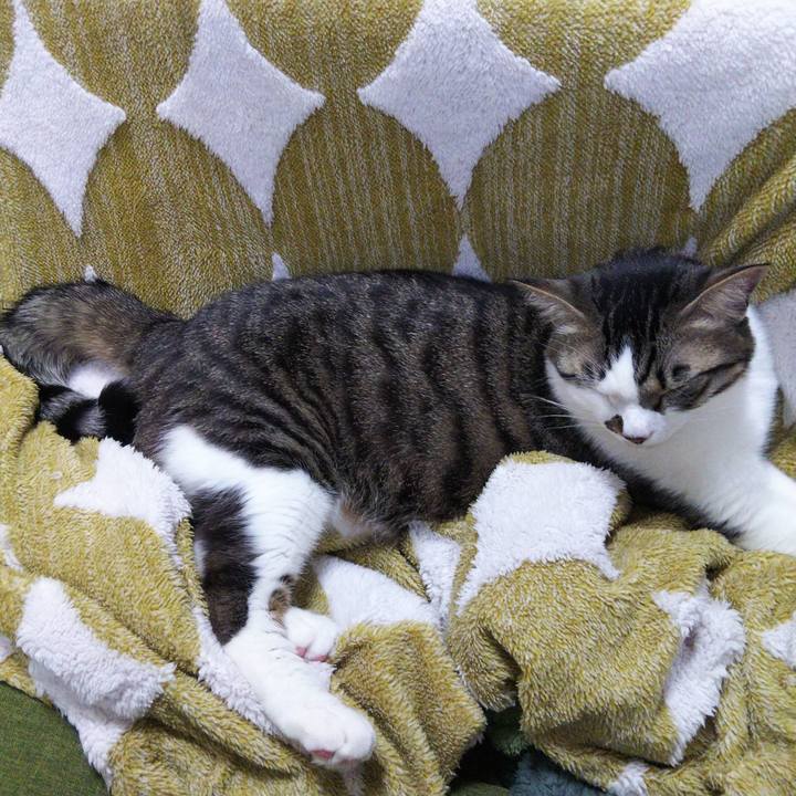 5624ba32 91c7 41bd beab 4bd3a3c9d8b2 1645268909942