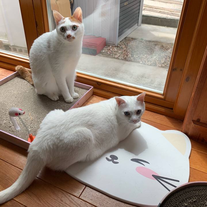 5624c0ee e08e 49e0 806e c6ebb60a4fb2 1626573839221