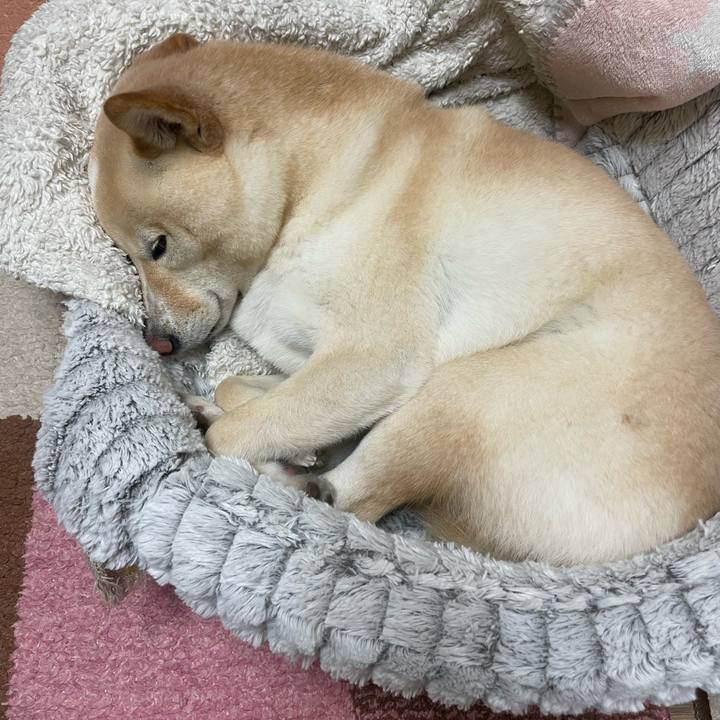 5624cc06 4b4f 4bca a18c 5edc45032879 1672402412892