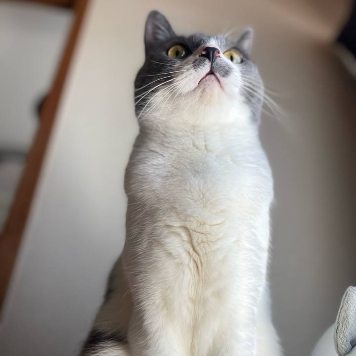 5624d68c 8c03 4e20 bd97 fe8b78968d22 1679199531691