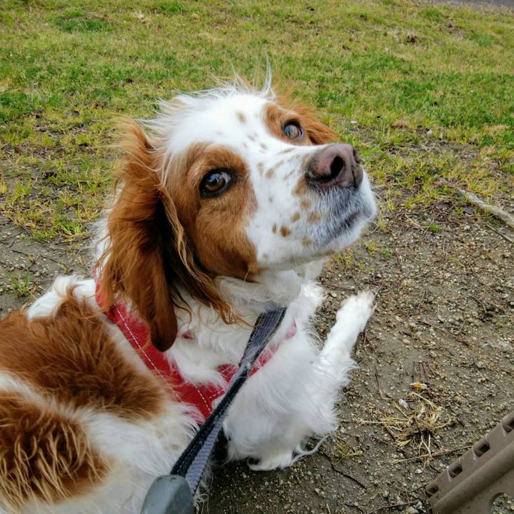 5624e3d5 4c21 4206 800b 7c249642d44a 1554885441099