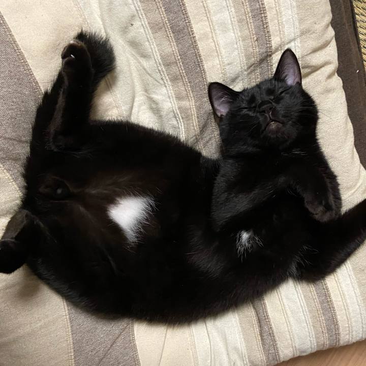 5624e517 c60d 4626 a36d fd6730792e8b 1626523511062