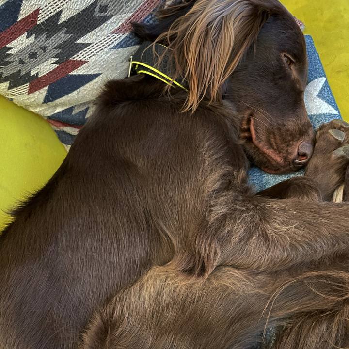 562521fc 0ca0 4138 8301 b2bbe30b5ac9 1610370331627