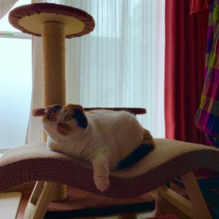 5625384d cfe8 495a b8ed 4017d4e20cc0 1568758790513