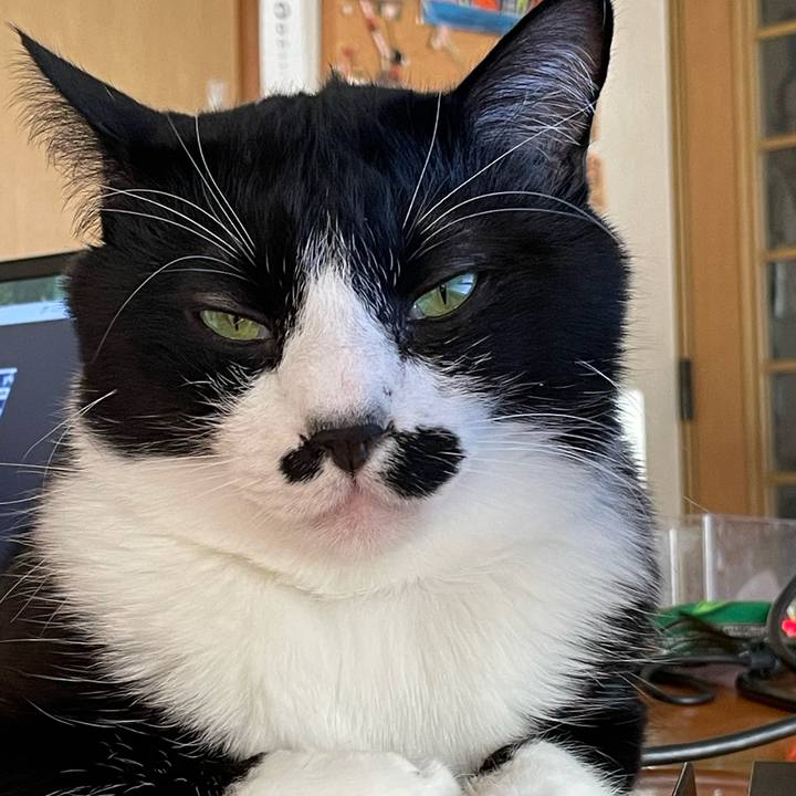 562551d6 3b6d 485f ae74 870a872d3fc3 1739058819695