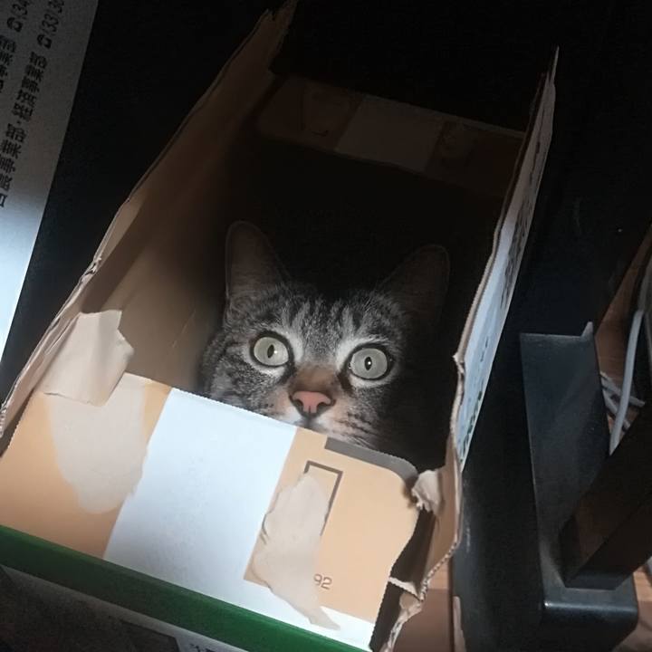 56258132 58f6 4ddd a016 791671f74b16 1518431611935