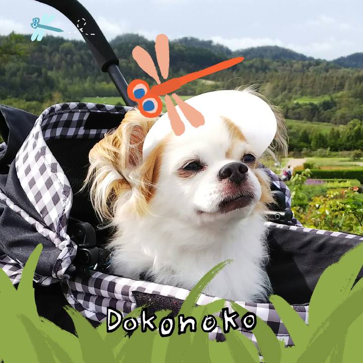 5625a0b8 9547 4ced 81da 3db8da652035 1726964396218