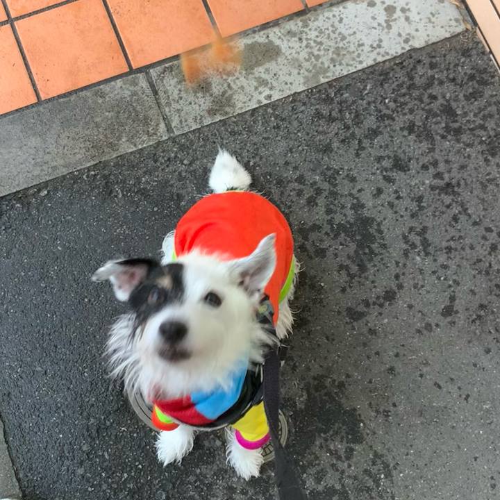 5625c666 0940 41b5 9c11 4a8db1f8ba0d 1728373710953