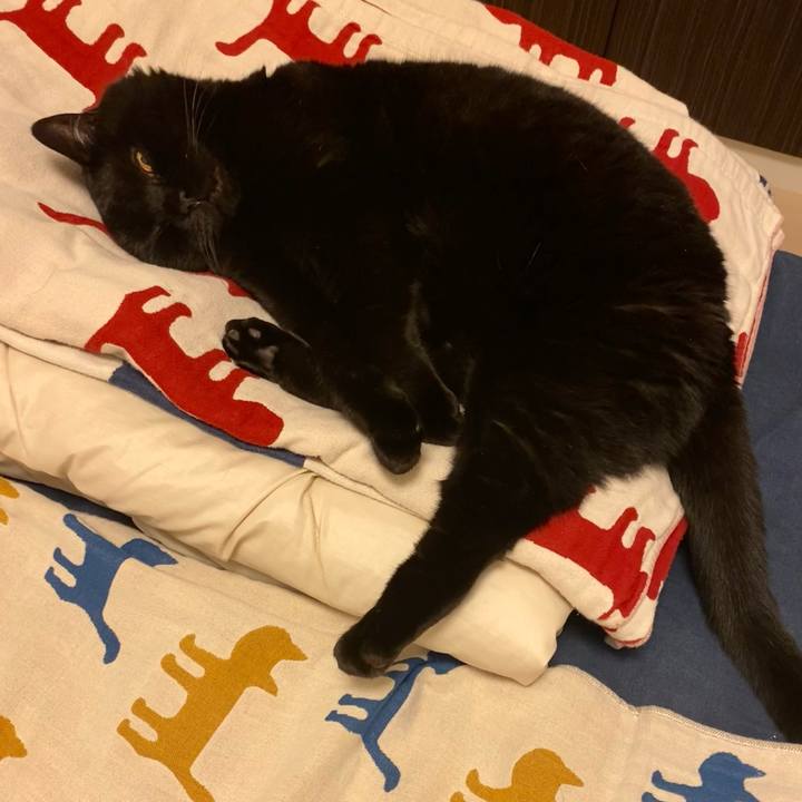 5625c7f4 0e8a 4775 9405 df86f74dc694 1717765559066