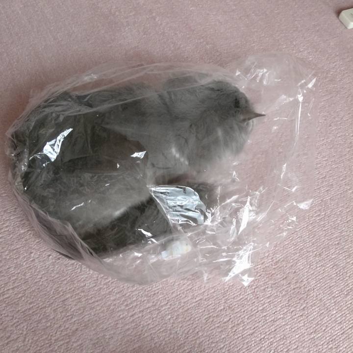 5625f1c8 a321 4fea b73e d86d9f45d108 1620544347969