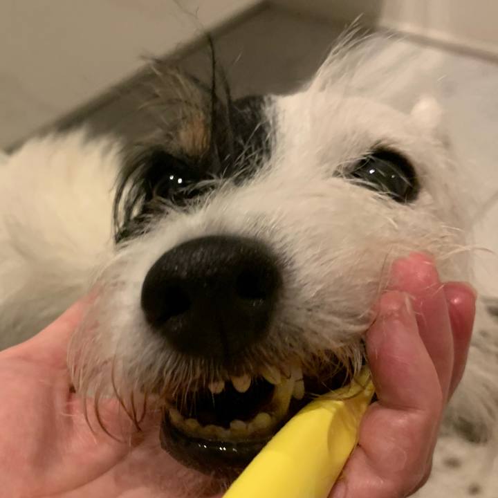 56262e7a baca 404f adc9 ea0e442c0b21 1696679905914