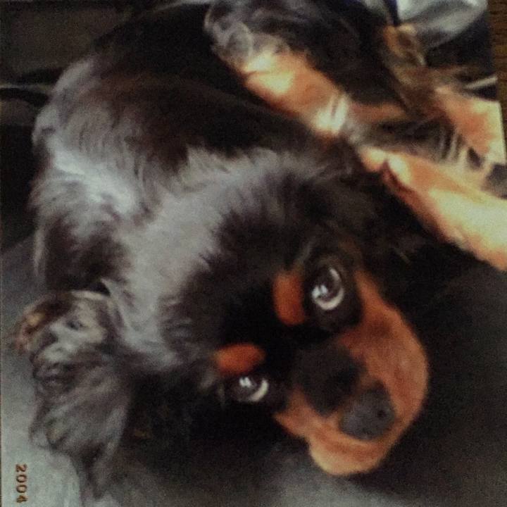 56266121 feea 4779 b836 7fa00c62e261 1528691262486