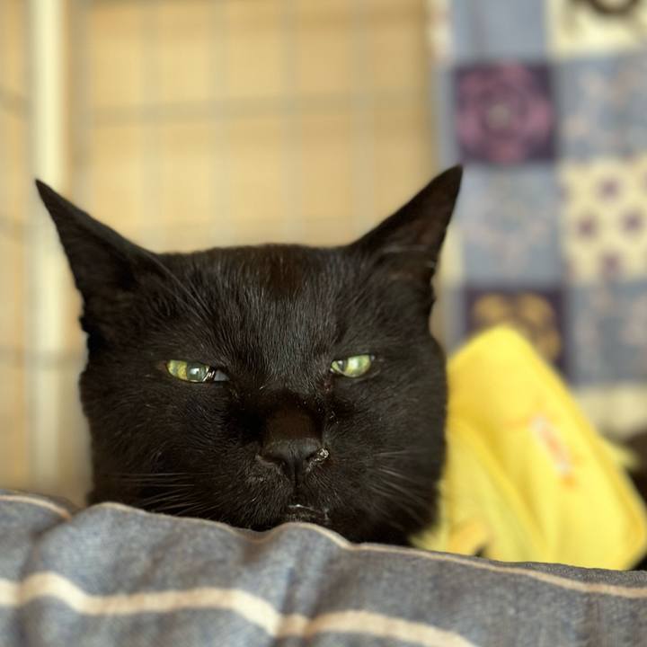 5626754c 3ff9 49e2 b37e 1ef0d39057b7 1716430347765