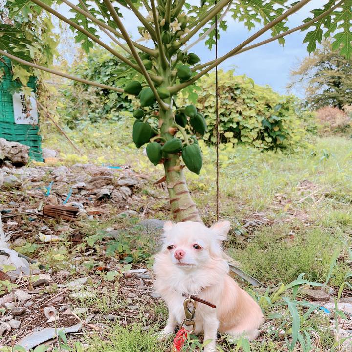 56267597 cbed 41fd b7ff 9523f6c5b181 1665302243982