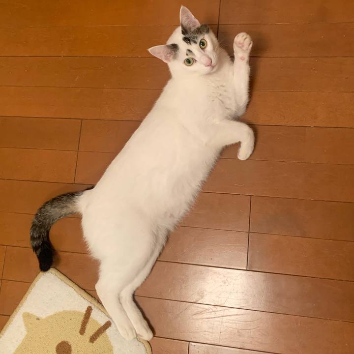 56269b16 7dad 471c 8de3 78660f6976e8 1667557730888