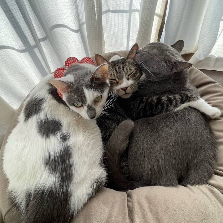 5626ca2c 60d5 482a ad37 a7a9e63eaa3d 1700202500281