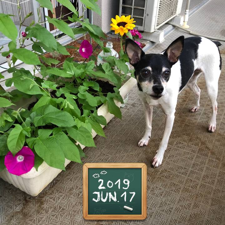 5626cb53 e511 4302 b0f9 2893d36f3266 1560723763979