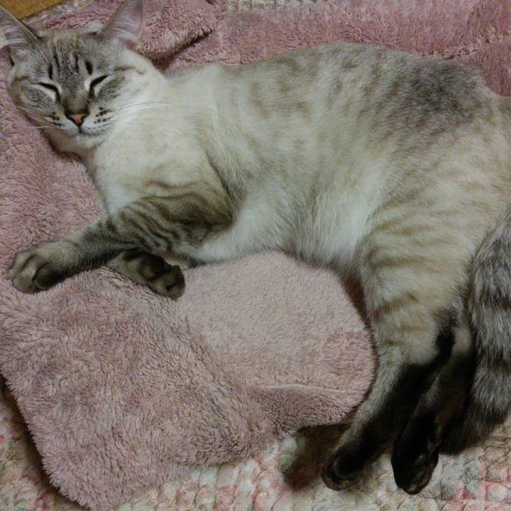 5626eedb dc15 42e6 bb59 8a01216c842b 1510583270669