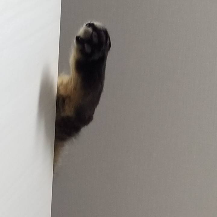 5627848d 1148 4024 9bf2 a74c34239650 1554635933192