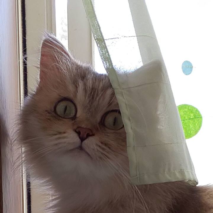 5627c729 d53c 4d9d 9cfe 1b9b9cd8ff60 1630277934145