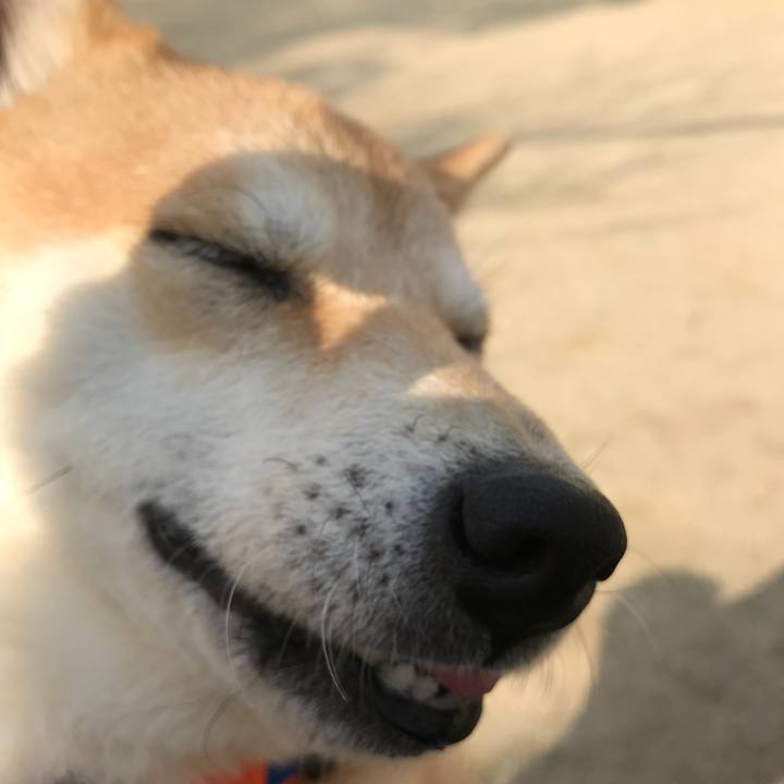 5627fe71 3fad 4c0c 8963 55ce51745597 1516345703738