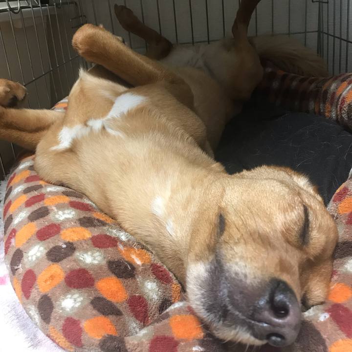 56282243 33a1 49c3 b135 62c5df5d72e8 1549641045560