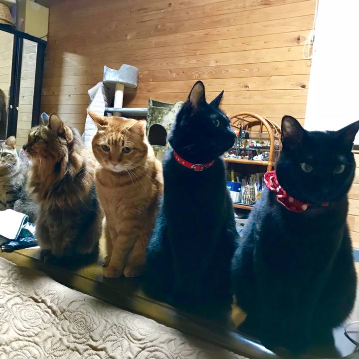 56286e71 6234 480c 8624 cb280e9783ab 1517057911956