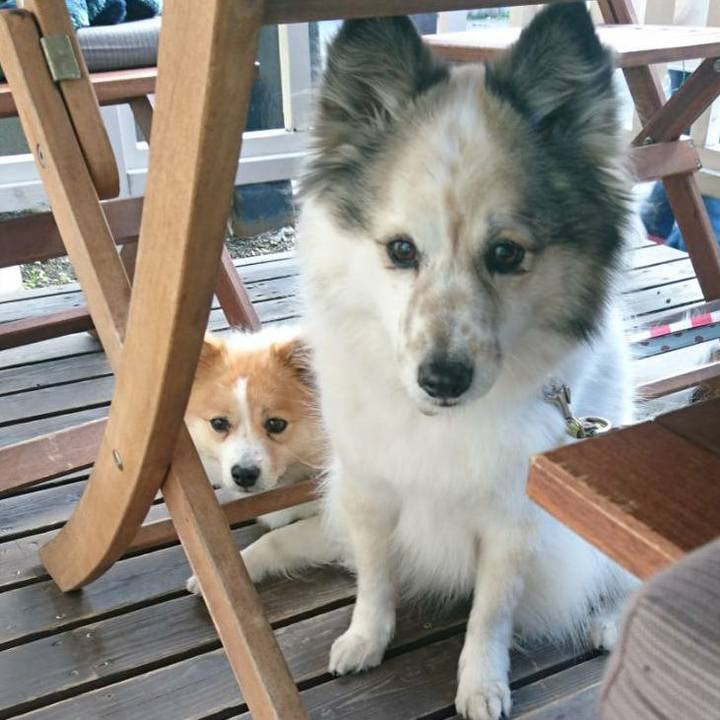 56289973 a2c5 4cc3 88fe c8783269d51d 1581073991646