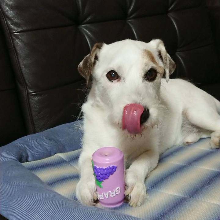 56289bb9 a3c5 4f9b 9960 1d87501ac1c1 1568763220762