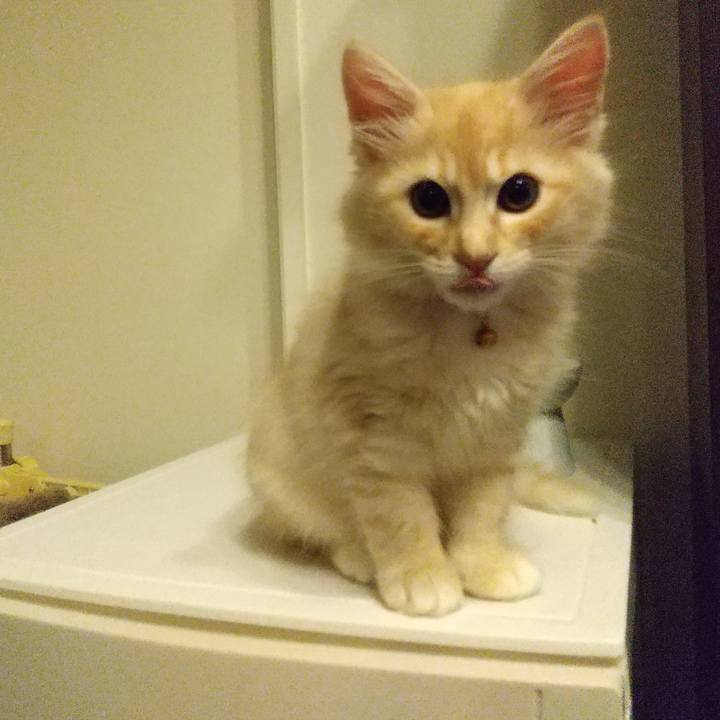 5628e96a 949b 4dcd 8d05 eb0e72207f40 1604661151751