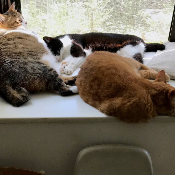 5628f2f3 4f06 474f 81d0 0dbc88e7fa27 1530422846013