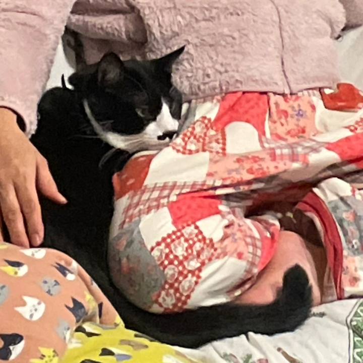 562913e8 3485 4562 a969 5e9ec2a3df56 1705025012557