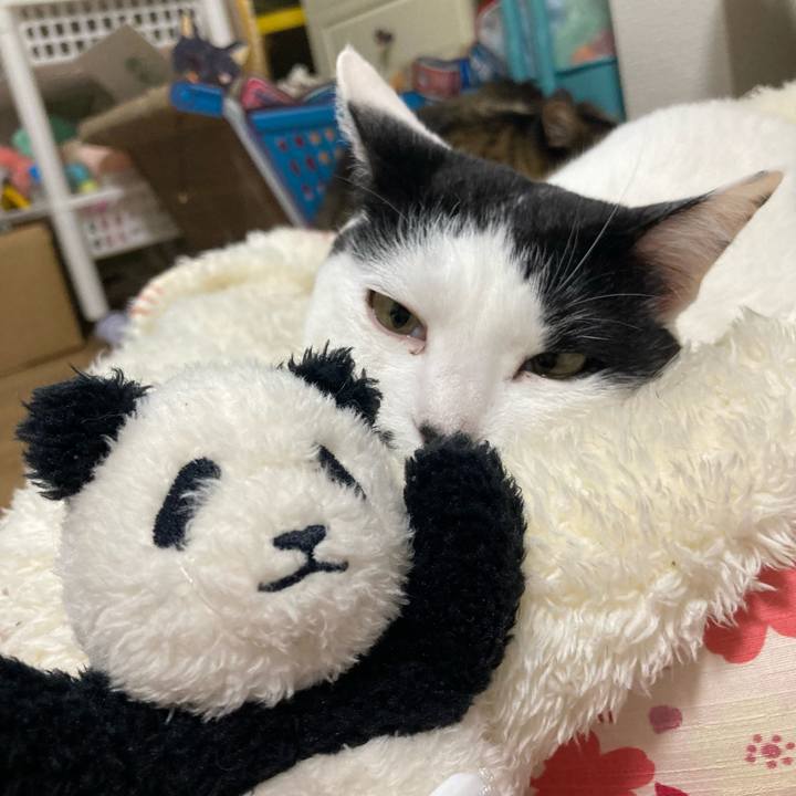 56291ddb c513 45ab b48c 1c22be1670d6 1771852008204