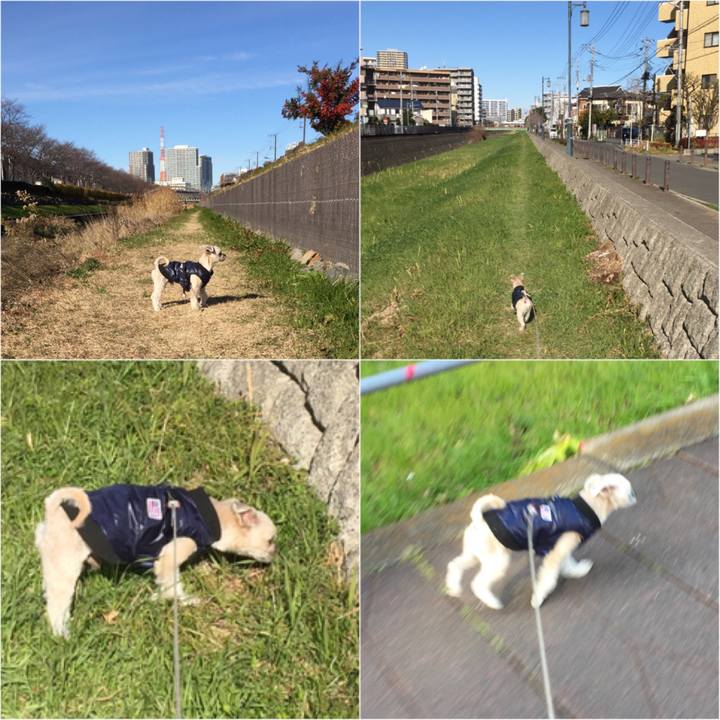 56291e15 6320 4450 b8ee 611dad16cfc6 1546238602617