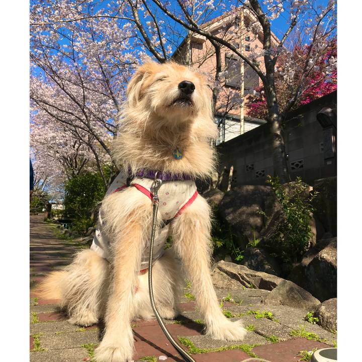 562920c0 3494 45c5 822c f41637b7905e 1554272675501