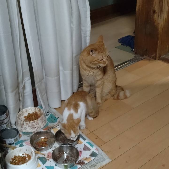 56293937 0442 46c1 918b bebdf44965b0 1725884487419