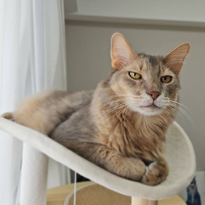 56297ebe 69bc 4387 af62 3dfae29583a5 1752806112597