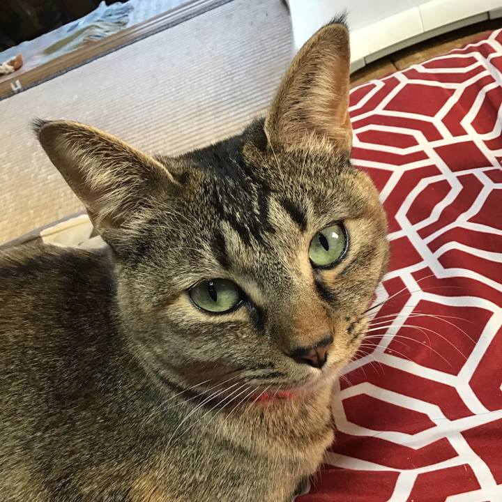 5629948a ef1f 42d9 a424 16bc1e183a2f 1616572996596