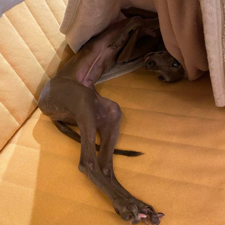 5629ea5d 89d6 4453 b337 7cd5a7ba545a 1764850479991