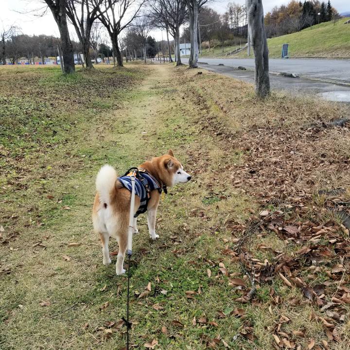 5629f710 31bb 4acf 84c5 6807f12d5e99 1637898393700