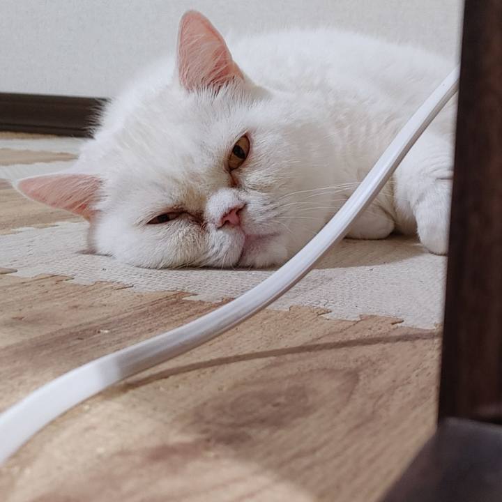 562a02d8 09a1 4787 a770 8b8ff0695ea6 1731832952709