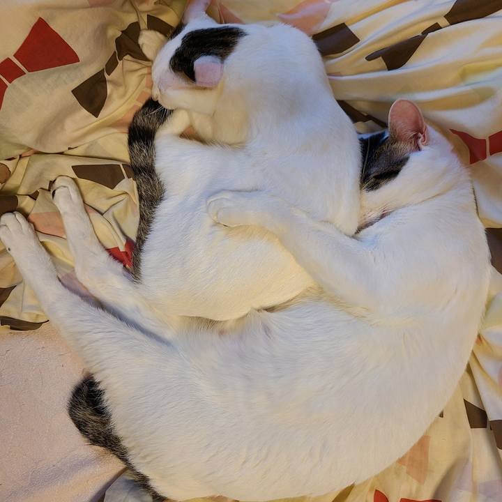 562a1df2 535e 45ab ba08 750cc042a052 1662624277394