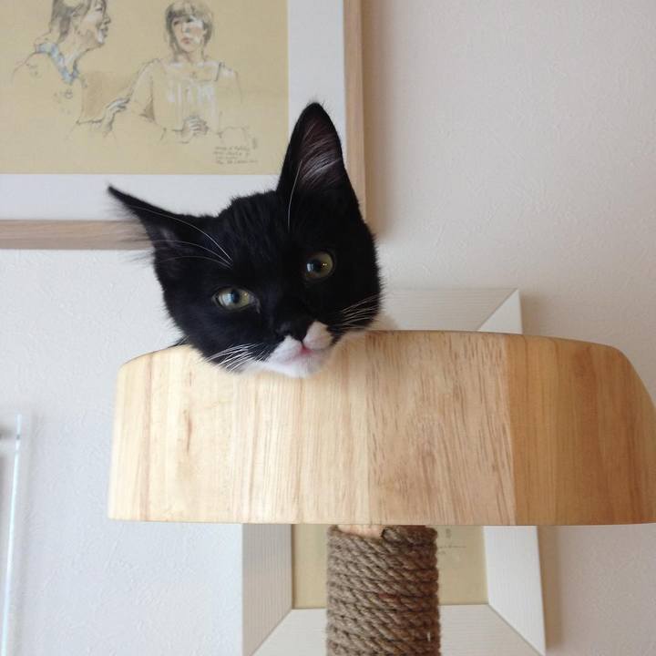 562a2719 a9ef 4840 96f7 8bdb37b3a89e 1548418480614