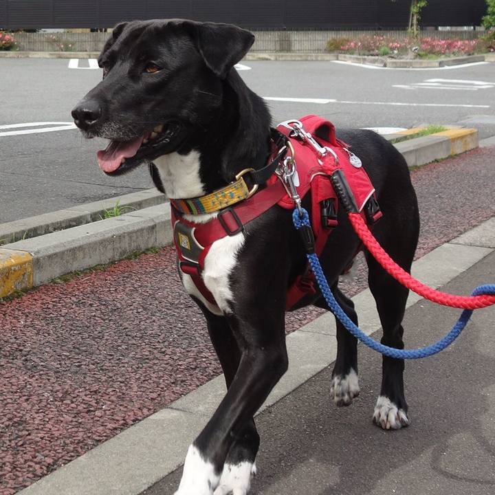 562a47af 2a2a 4fd9 9278 12ef95ee3ec9 1590194882652