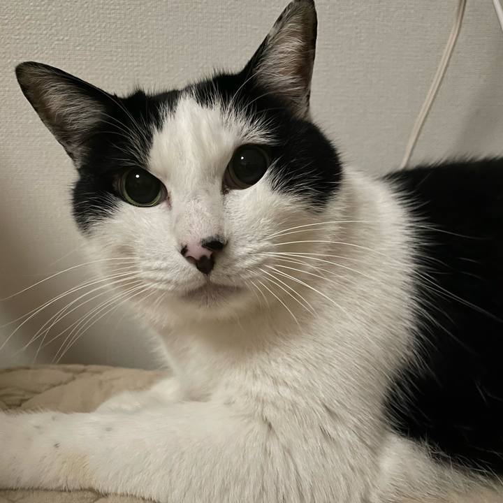 562a55d9 56fe 451a 92ce cf92b7676f1c 1673799690434