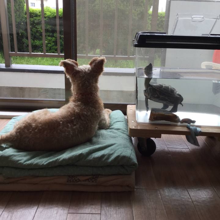 562a6679 8e38 4472 a6f5 eb664391519d 1544485059440