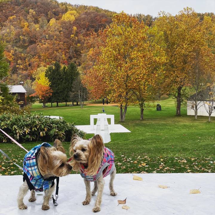 562a7ccc 595d 4839 ba66 85ebee22b02f 1635934698730