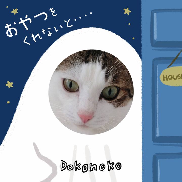 562a7fb1 e3bd 441c 9e80 e7cfae43f139 1729075299624